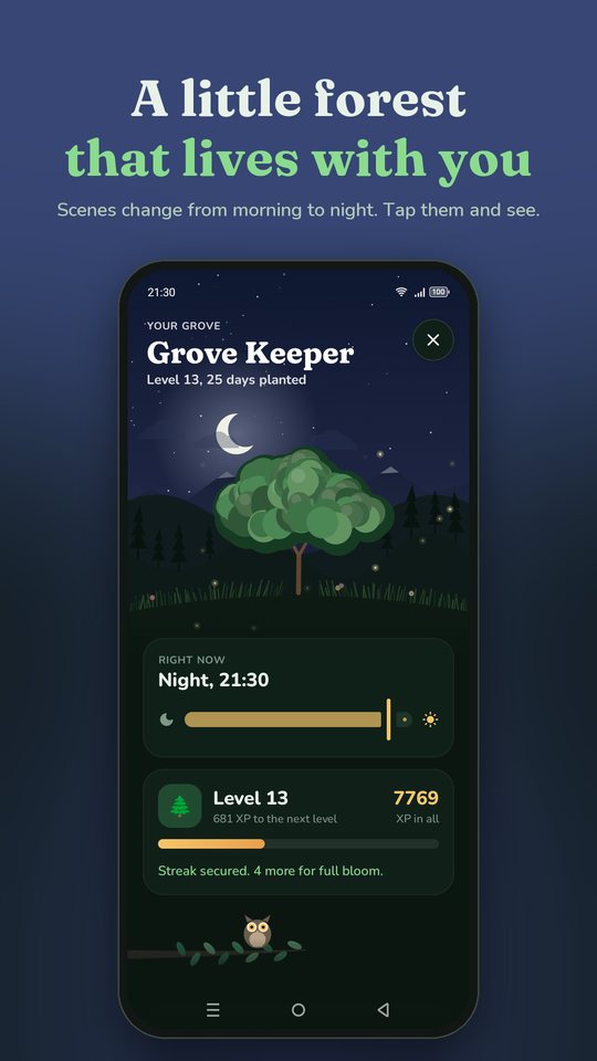 The grove at night with the moon and an owl